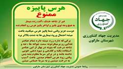 هرس پاییزه ممنوع!